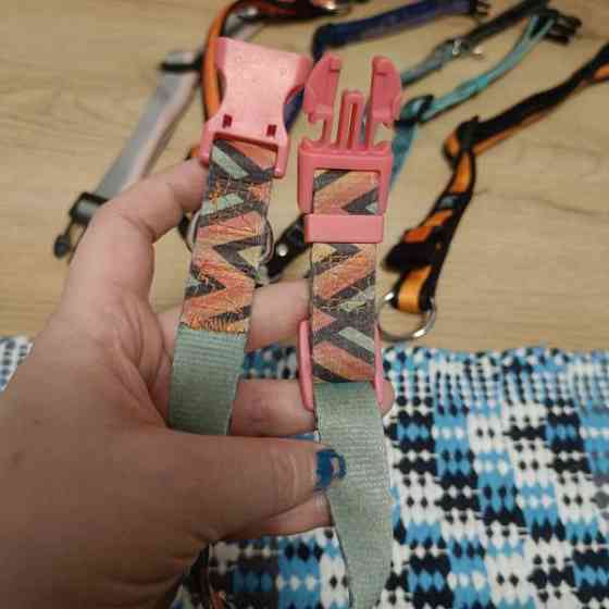 Koiran kaulapantoja setti Vantaa