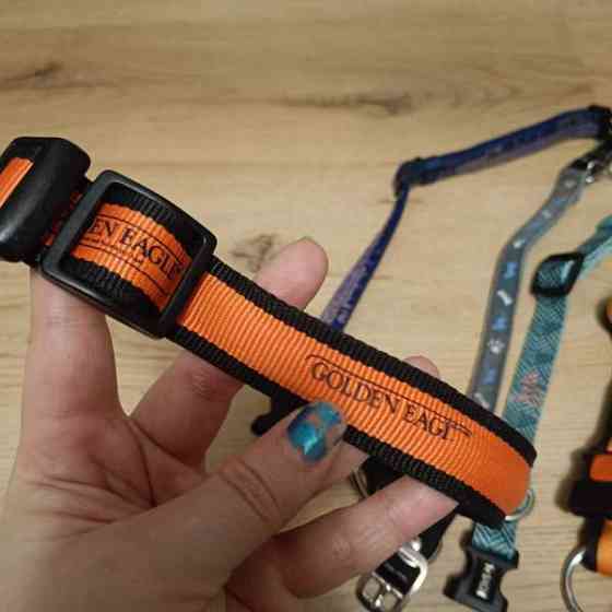 Koiran kaulapantoja setti Vantaa