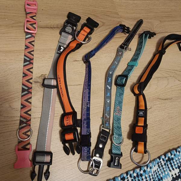 Koiran kaulapantoja setti Vantaa – foto 1