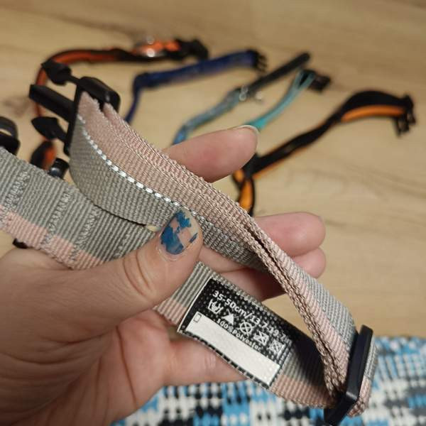 Koiran kaulapantoja setti Vantaa – foto 5