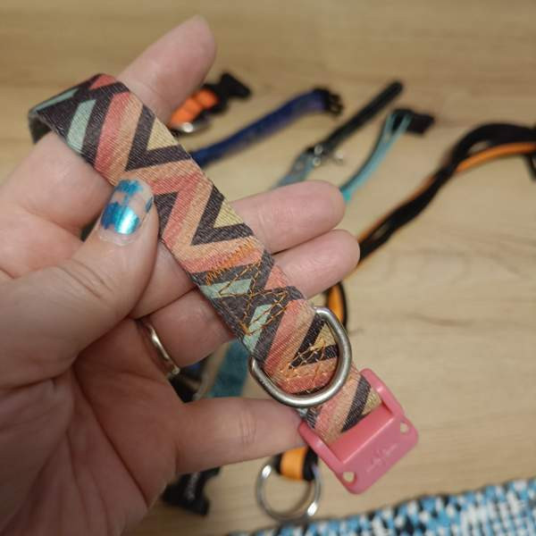 Koiran kaulapantoja setti Vantaa – foto 2