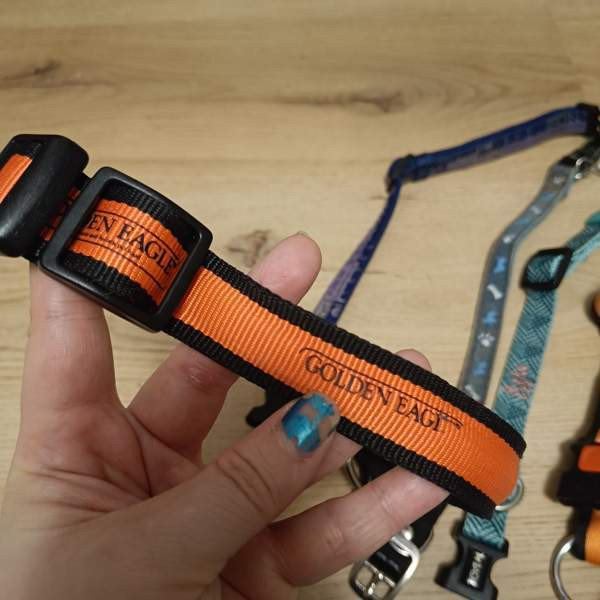 Koiran kaulapantoja setti Vantaa – foto 6