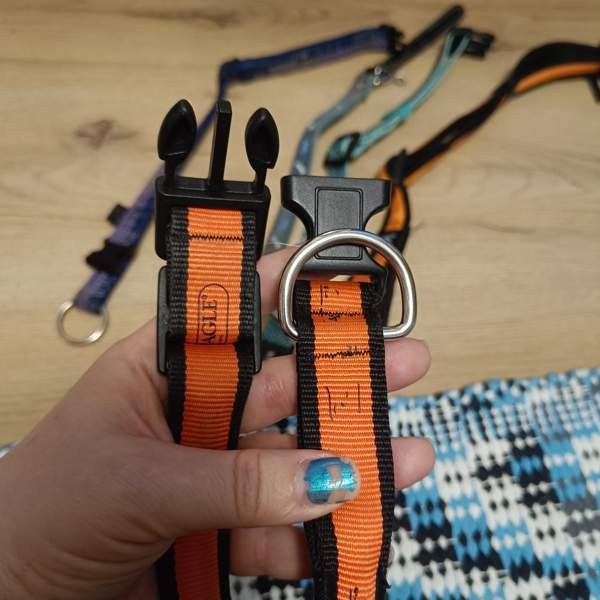 Koiran kaulapantoja setti Vantaa – foto 7