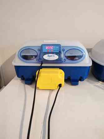 Hautomakone vuokralle Kontiolahti