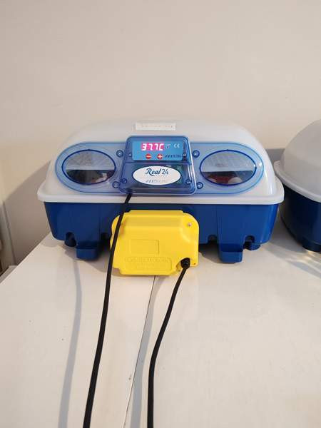 Hautomakone vuokralle Kontiolahti - изображение 1