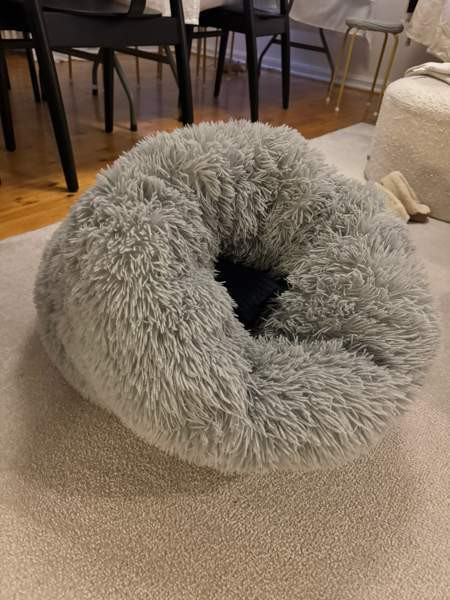 Kissan peti Tampere – foto 2