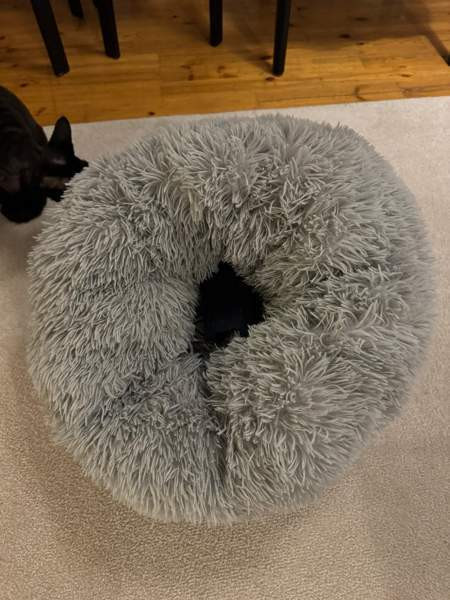 Kissan peti Tampere – foto 1