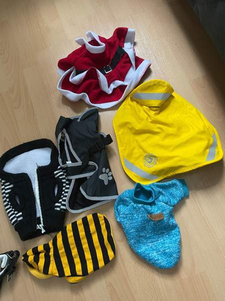 Vaatteita pienelle koiralle Orivesi - valokuva 2