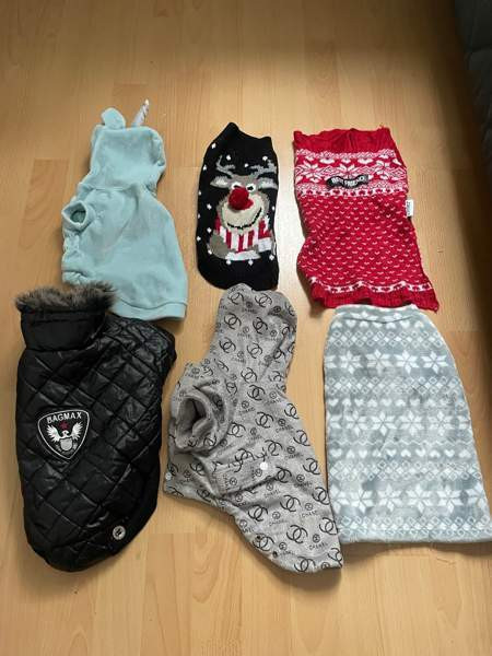 Vaatteita pienelle koiralle Orivesi - valokuva 1