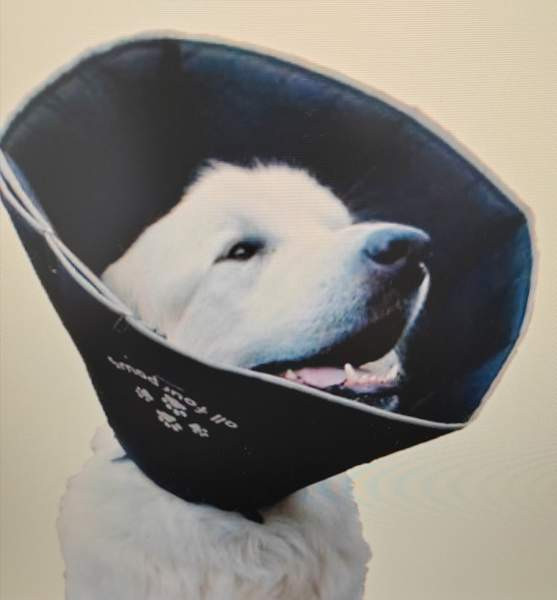 Kauluri Хювинкяя - изображение 3