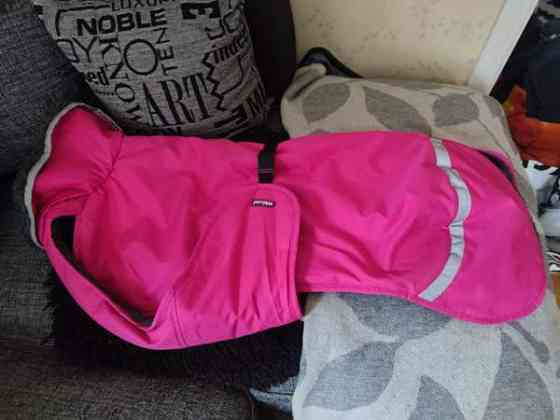 Toppa Pomppa 65cm Kotka