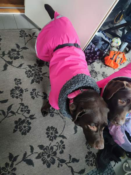 Toppa Pomppa 65cm Kotka – foto 3