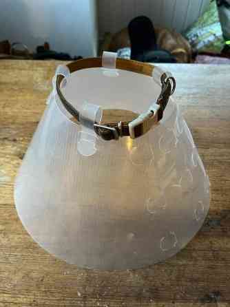 Koiran kauluri Haemeenlinna