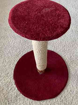 Raapimispuu Mustasaari