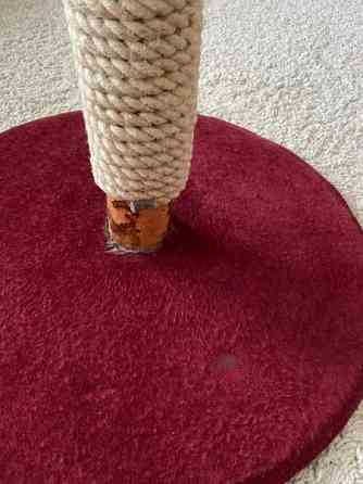 Raapimispuu Mustasaari