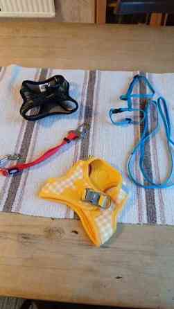 Kissanvaljaita Urjala