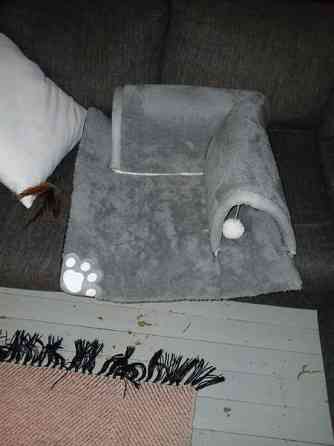 Kissanpennun tunnelipeti Urjala