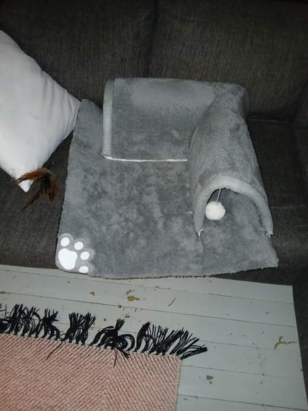 Kissanpennun tunnelipeti Urjala - изображение 1