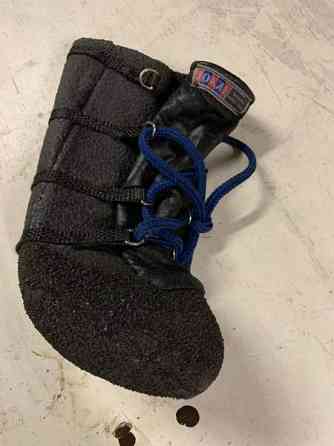 Koiran tassu suoja. Ison koiran. Kuopio