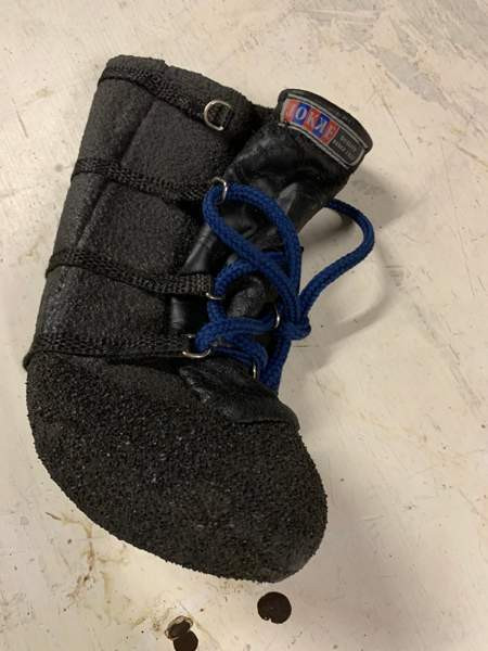 Koiran tassu suoja. Ison koiran. Kuopio – foto 1