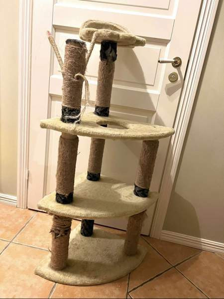 Kissapuu Туусула - изображение 1