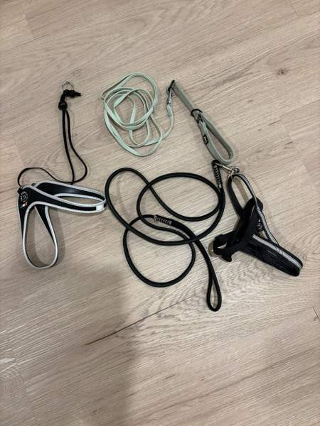 Koiran talutushihnoja ja valjaita Oulu - photo 1