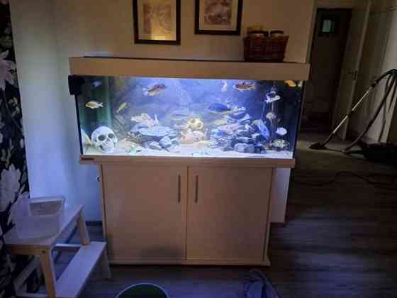 Eheim mp akvaario Kuopio