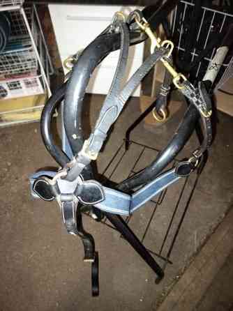 GG rintaremmi martignaali Pori