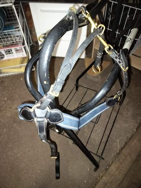 GG rintaremmi martignaali Пори - изображение 1