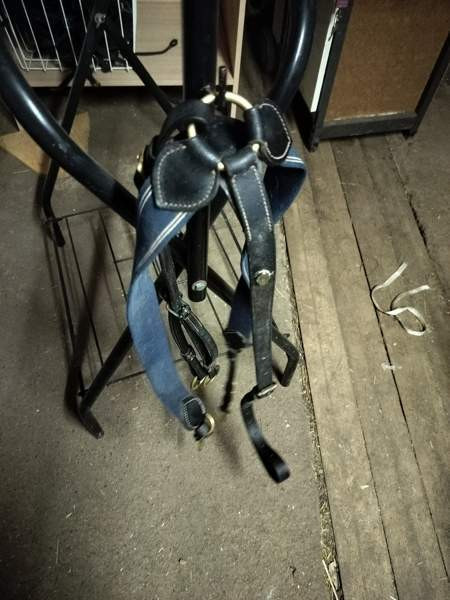 GG rintaremmi martignaali Пори - изображение 2