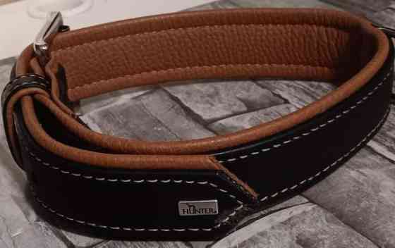 Koiran panta Kajaani