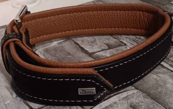 Koiran panta Каяни - изображение 1