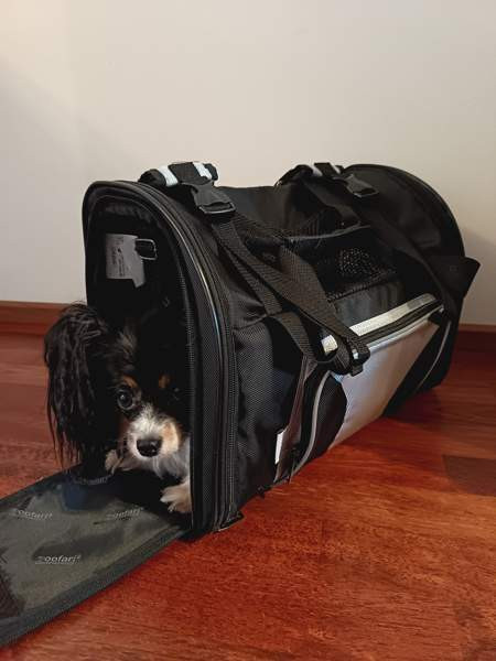 Kantoreppu Kauhava – foto 1