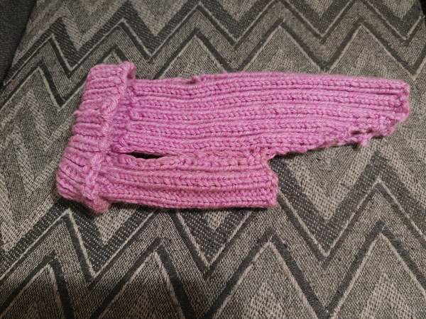 Koiran neule Turku - valokuva 2