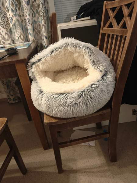 Kissan pesä Nurmijaervi – foto 2