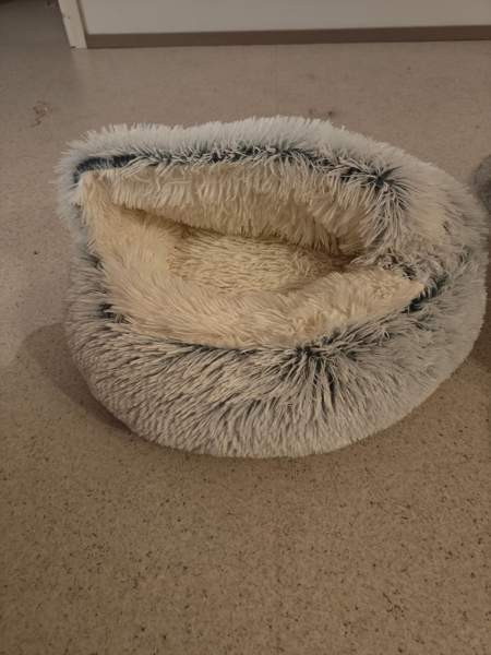 Kissan pesä Nurmijaervi – foto 1