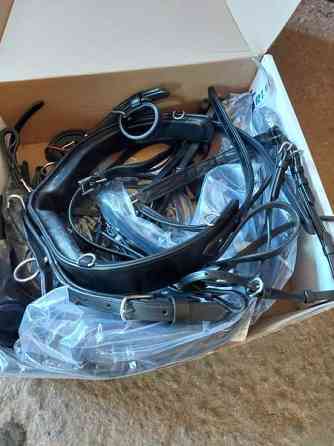 Silakompletti Kempele