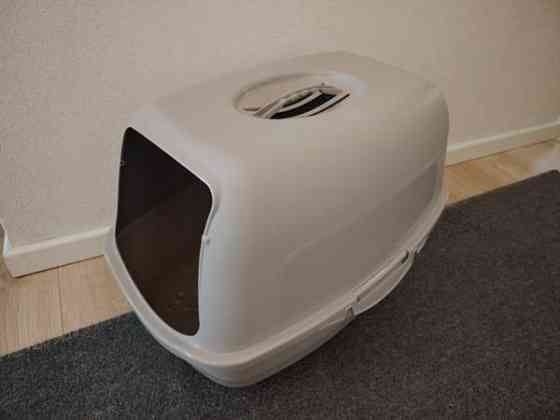 Kissanvessa Jaervenpaeae