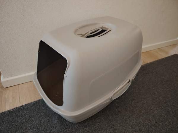 Kissanvessa Jaervenpaeae – foto 1