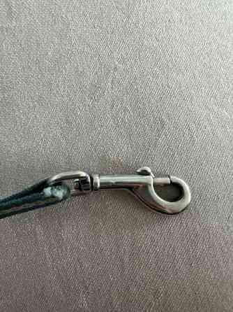 Koiran flexi koko s Turku