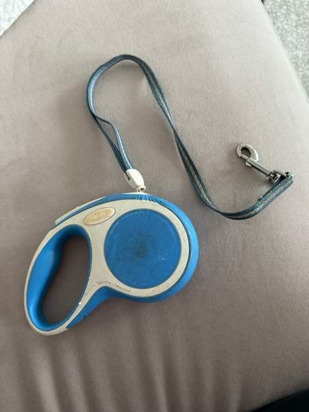 Koiran flexi koko s Turku - valokuva 1