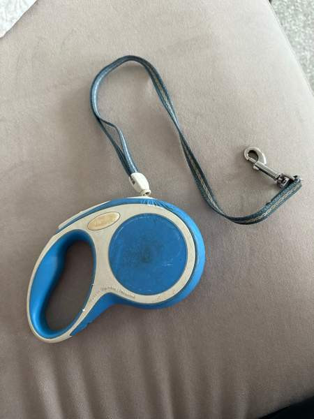 Koiran flexi koko s Turku - valokuva 2