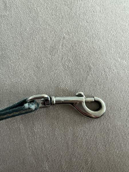 Koiran flexi koko s Turku - valokuva 5