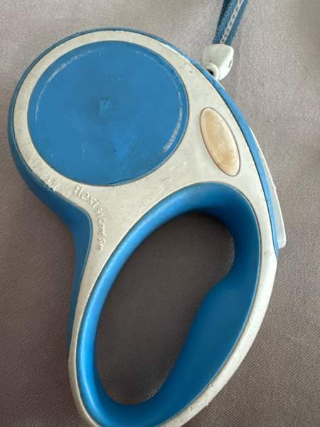 Koiran flexi koko s Turku - valokuva 3