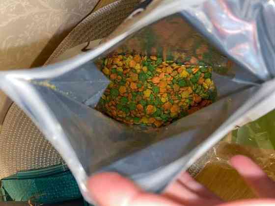 Lemmikkilintujen ruokia Turku