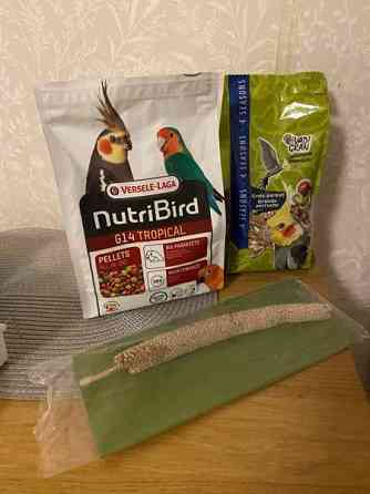 Lemmikkilintujen ruokia Turku