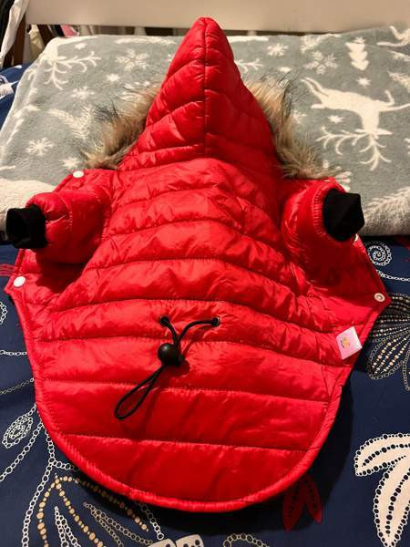 Kevyttakki ja Sadetakki pikkukoiralle Orimattila - изображение 1