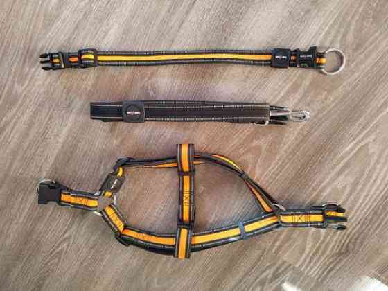 Pienen koiran kaulapanta, valjaat ja hihna Kotka