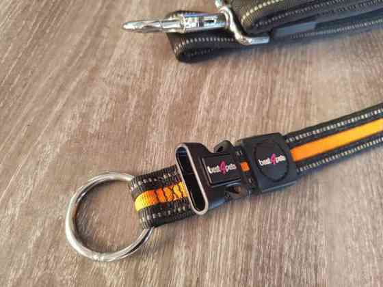 Pienen koiran kaulapanta, valjaat ja hihna Kotka