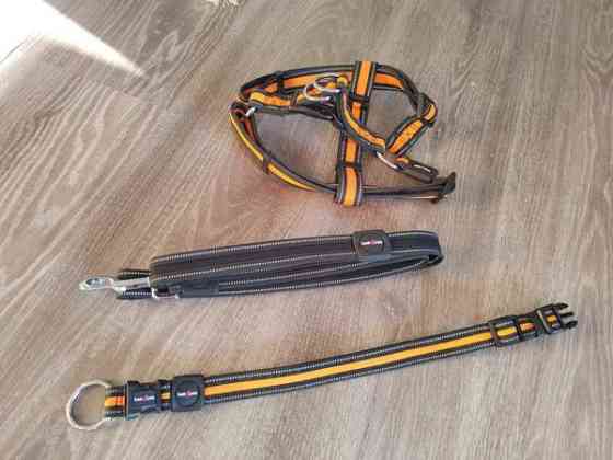 Pienen koiran kaulapanta, valjaat ja hihna Kotka